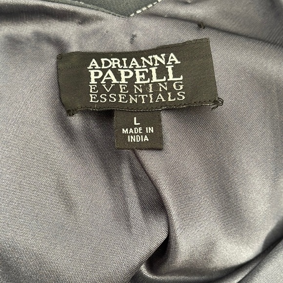 Adrianna Papell Embellished Tunic Sheer Blouse l SIZE L - Picture 7 of 11